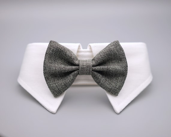 pet bow tie collar