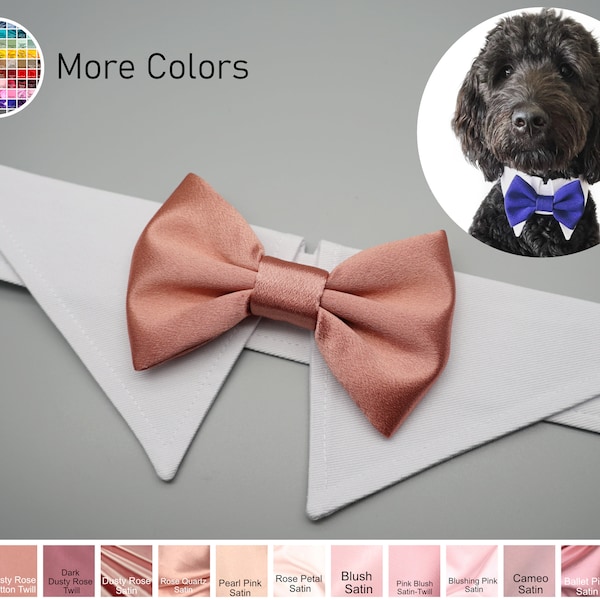 Champagne Rose dog bow tie collar, dog shirt collar, dog bowtie, dog formal collar, pet cat dog wedding attire, engagement photography