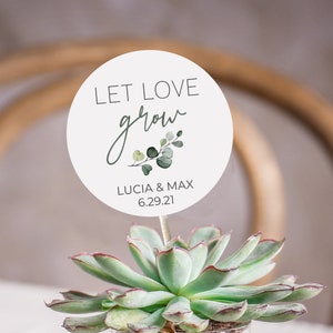 Plant Pick Hochzeit Gastgeschenk, Party Favor Picks, Sukkulente Pflanze Namensschilder