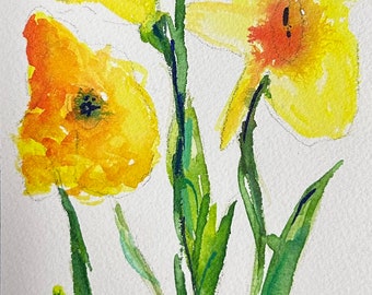 Spring Daffodil’s