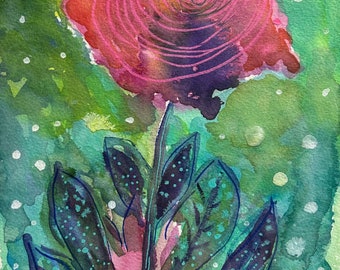 Spiral Beauty