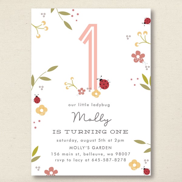 Ladybug birthday, ladybug party, little ladybug birthday, garden birthday party, ladybug birthday party, garden party invitation, ladybug