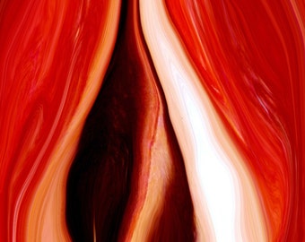 Red Pepper Abstract