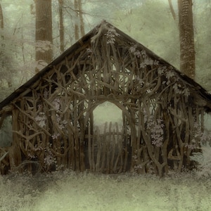 SHELTER, Print on Paper