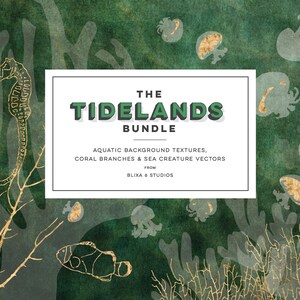 Puede incluir: Una ilustración digital de un caballito de mar, coral y medusas en oro y blanco sobre un fondo de acuarela verde. El texto "THE TIDELANDS BUNDLE" está en verde con un contorno blanco. El texto "AQUATIC BACKGROUND TEXTURES, CORAL BRANCHES & SEA CREATURE VECTORS FROM BLIXA & STUDIOS" está en negro.