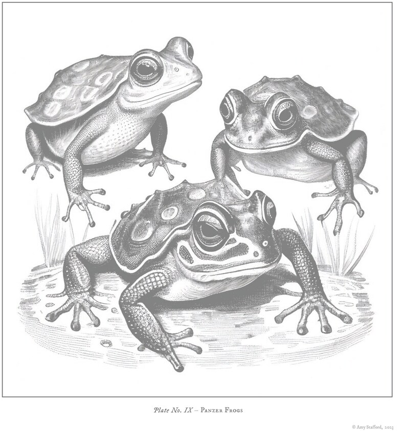 以下が含まれることがあります： 3匹のカエルの白黒のイラスト。カエルは草のベッドの上に座っています。画像は「Plate No. IV - Panzer Frogs」というタイトルです。