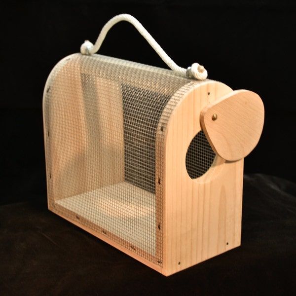 Wooden Bug and Critter Cage