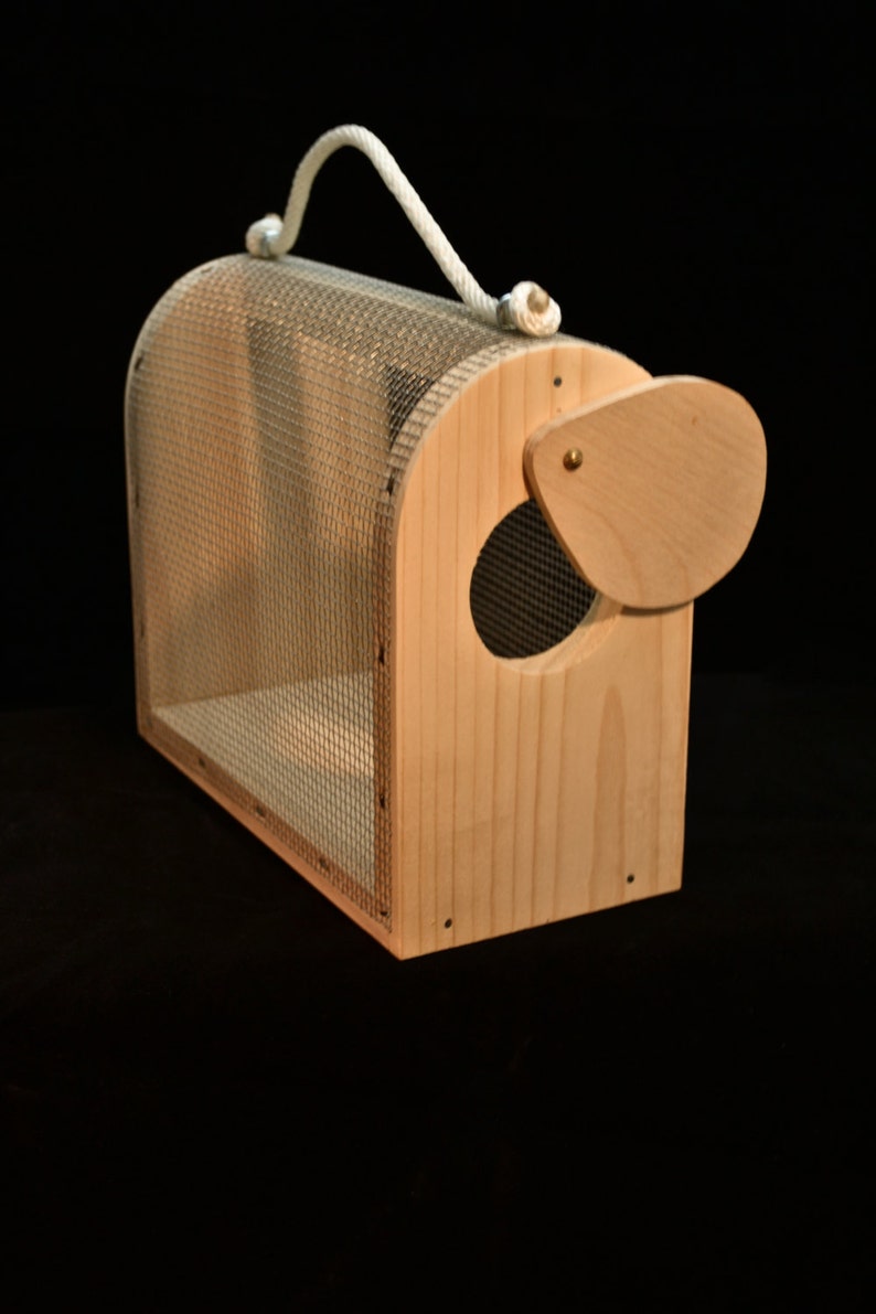 Wooden Bug and Critter Cage image 3