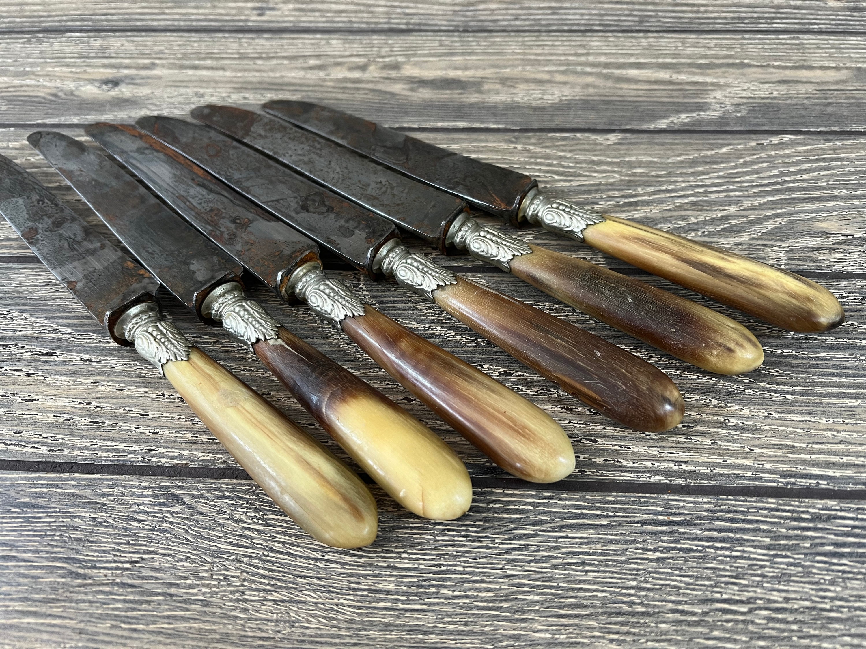 Berthon Brest Bone Handle Table Knife w/Silver Collars Set of 6