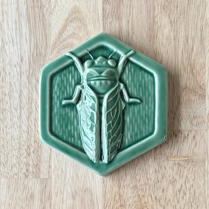 Carreau de cigale en céramique fait main ; Accent décoratif de dosseret de jardin