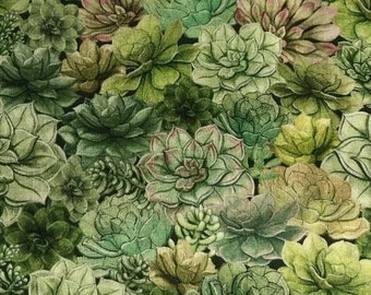 Fabric By The Half Yard - Packed Succulents, Succulent Fabric, Cactus Fabric, Green Blender, Almost Photo Real