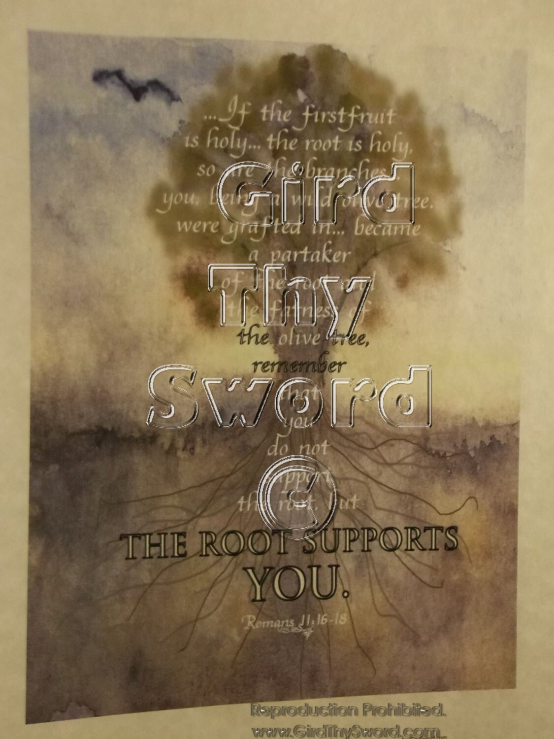 Romans 11 16 18 The Root Supports You 8 1 2 X 11 Etsy romans-11-16-18-the-root-supports-you-8-1-2-x-11-etsy
