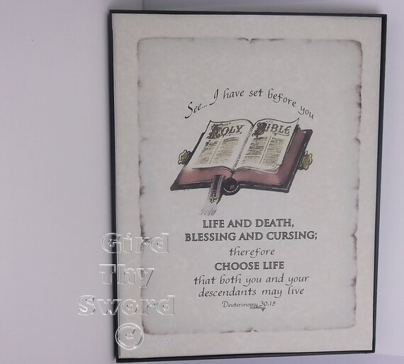 Bible Illustration Deuteronomy 30 19