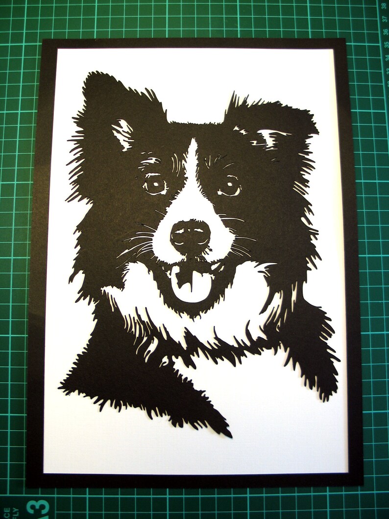 Download Border Collie Template SVG File Collie Design Cricut | Etsy