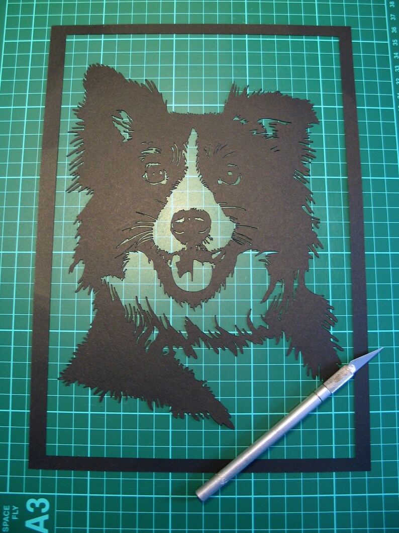 Download Border Collie Template SVG File Collie Design Cricut | Etsy