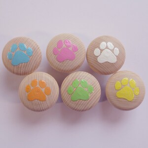 Könnte beinhalten: Sechs Holzgriffe mit bemalten Pfotenabdrücken in verschiedenen Farben: hellblau, rosa, weiß, orange, grün und gelb.