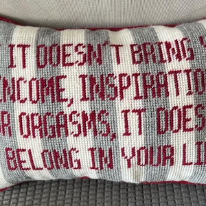 Needlepoint Decorative Pillow with humorous saying "Income Inspiration"