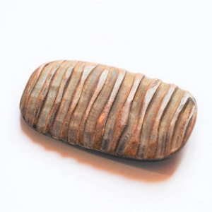 May include: A fossilized tooth with a rectangular shape and a ridged surface. The tooth has alternating bands of light and dark brown, with a slightly curved shape. The object is set against a white background.