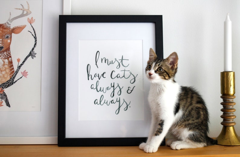 I Must Have Cats Always and Always Art Print / Cat Art / Cat Lover / Cat Print image 1