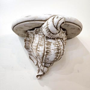 May include: A white and beige seashell-shaped wall shelf. The shelf has a rounded top and a detailed, textured shell design. The color is primarily white with beige accents, giving it a weathered appearance. It is mounted on a white wall.