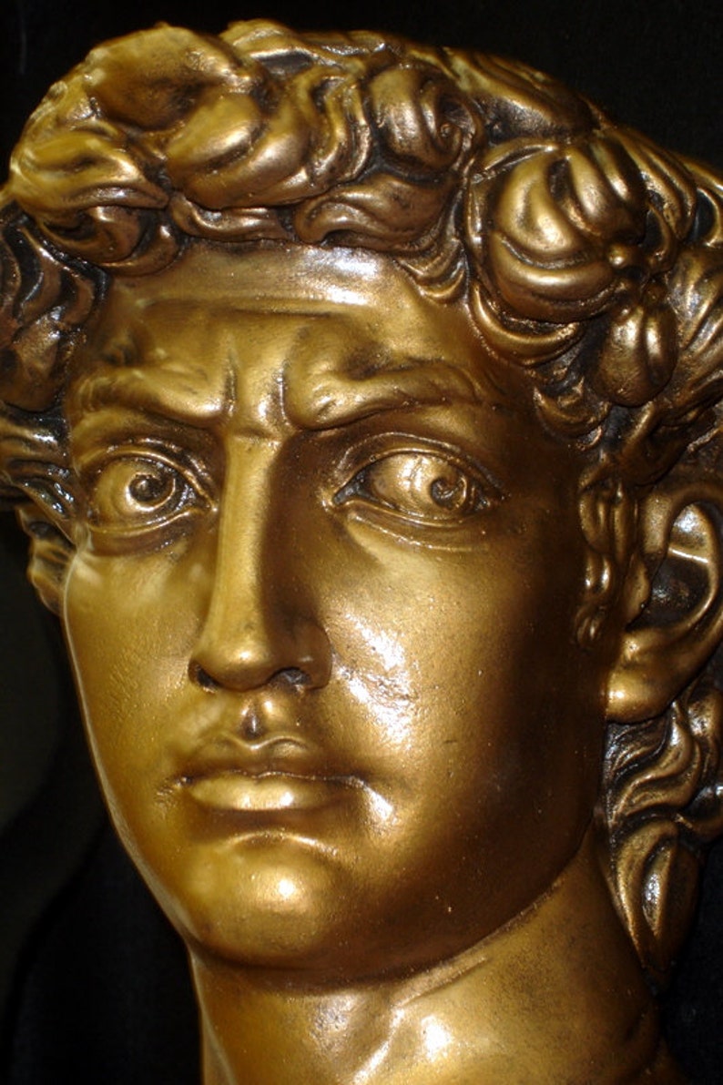 Michelangelo's Bust of David 17 Greek Roman Art Etsy