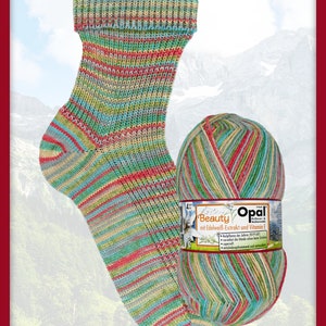 Ridge 11154  - Beauty 2 Collection- SUPERWASH - 4 ply Sock Yarn - by Opal