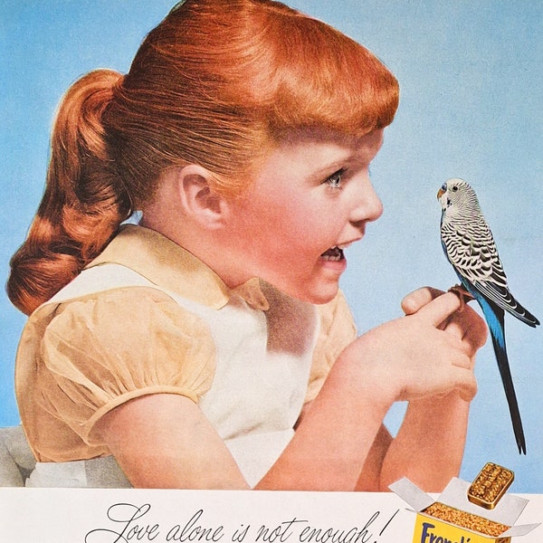 Parakeet Vintage Ad, 1957 French's Bird Seed advertisement, Child with Bird wall decor art print