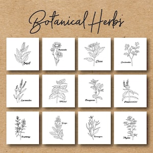 Botanical Herbs Embroidery Design Pack, 12 Designs Included, Machine Embroidery, Brother PES, All Popular Formats, Instant Download