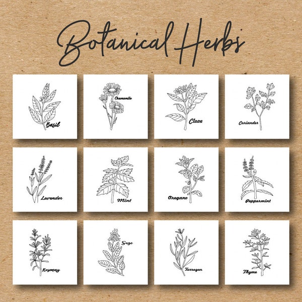 Botanische Kräuter Embroidery Design Pack, 12 Designs enthalten, Maschinenstickerei, Brother PES, Alle gängigen Formate, Sofortiger Download