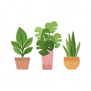 May include: Three potted plants with green leaves in different shapes. The plants are in pink and orange pots.