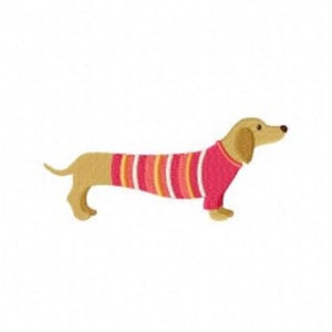 Pode incluir: Um dachshund marrom vestindo um suéter listrado rosa e laranja.