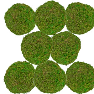 Pode incluir: Oito bolas de musgo verde dispostas em um padrão simétrico. As bolas de musgo são redondas e têm uma superfície natural e texturizada.