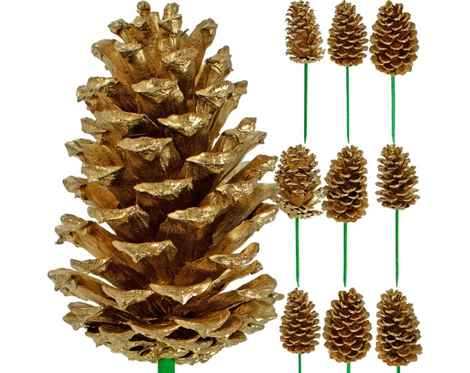 Shiny Gold Pine Cones, Wooden Green Pick Attached, Packs of 60pcs - Etsy