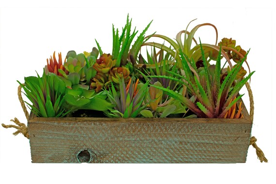 Knstlicher Sukkulenten Pflanzkasten: Rustikales Redwood Cottage Dekor  (40x38x10cm) - Etsy.de