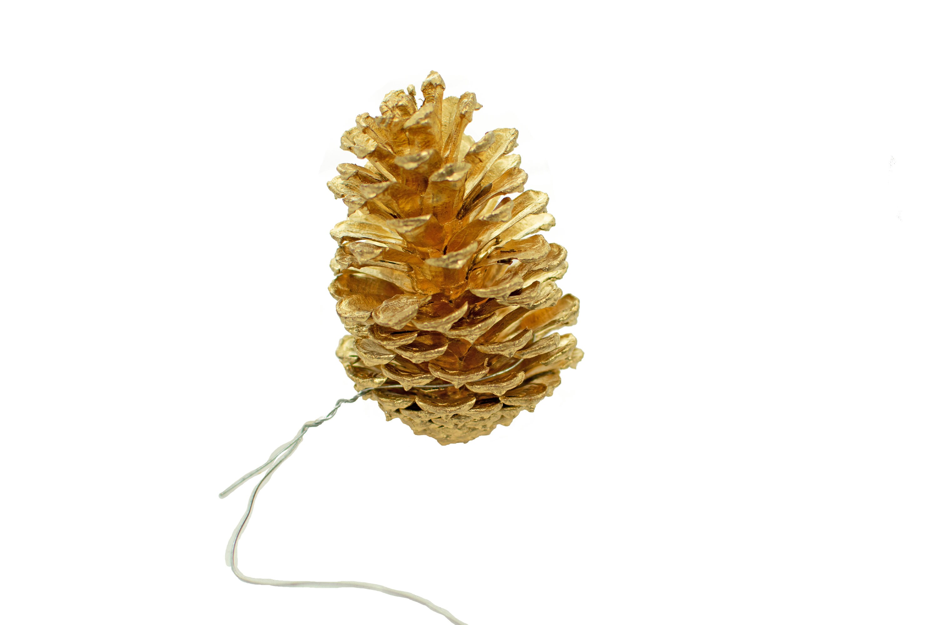 Gold Painted Pine Cones Tinted in Gold Spray Paint Real Etsy