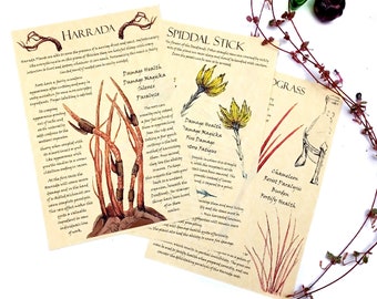 Plants of the Deadlands - Alchemists Oblivion journal pages, apothecary ingredients and illustrations Alchemy Scrolls art sheets