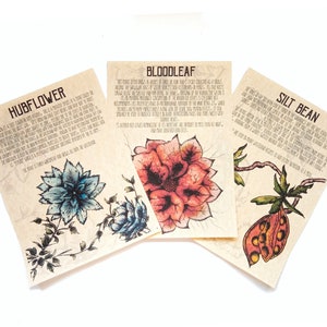 Plants of the Commonwealth Wasteland Journal Pages - Post Apocalypse Schriftzug und Illustration