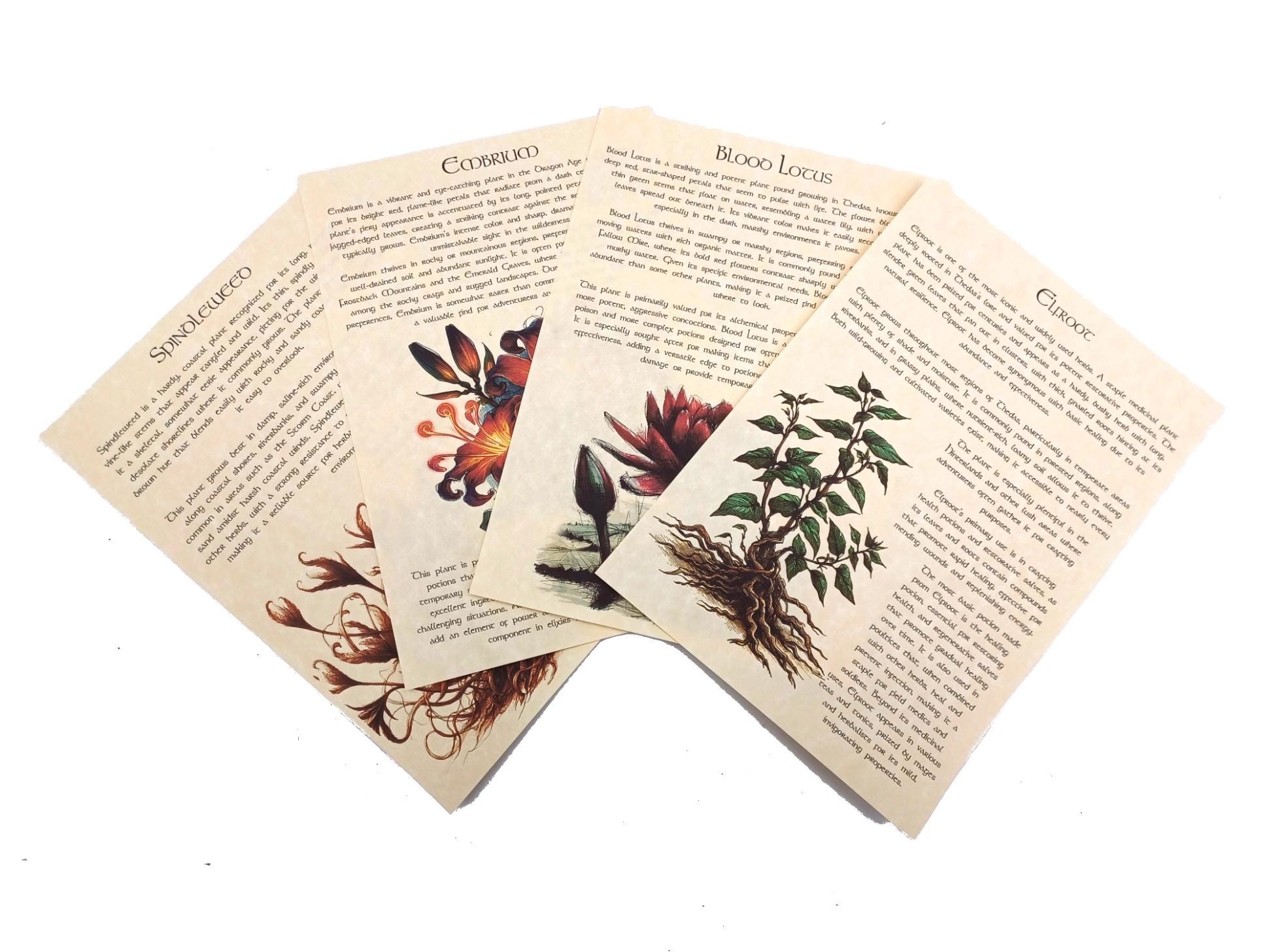 セダスのハーブ - ドラゴン動物寓話の時代ジャーナルページアートプリント - 異端審問の錬金術師のポーション作り - Etsy 日本