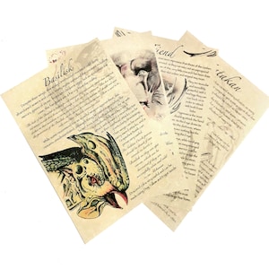 Bestiary Part 7 - Witch Hunter White Wolf Journal pages. Fiend, Katakan, Werewolf, Basilisk - LARP Witch Myth Creature Legend