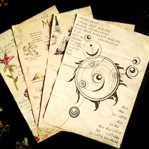 Alchemist Journal Pages, Adventurer diary, spells and alchemy ingredients, game pages, dwemer ruin excavation, daedric symbols