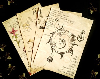 Alchemist Journal Pages, Adventurer diary, spells and alchemy ingredients, game pages, dwemer ruin excavation, daedric symbols