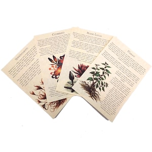 Herbes de Thedas - Dragon Bestiaire Age Journal Page Art Print - Fabrication de potions d'alchimiste de l'Inquisition