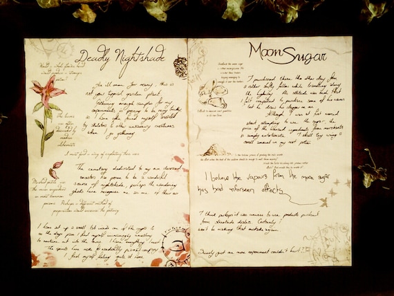 ヒーリング+ニューエイジ Alchemist Diary Alchemist Journal Pages, Adventurer Diary, Spells and