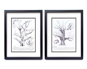 Tree Botanical prints - Natural World Forest wall art sketch Monochrome