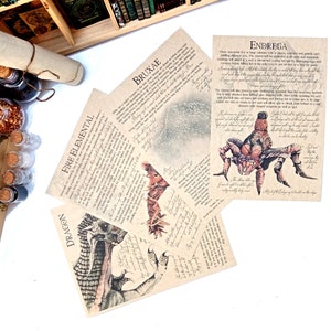 Bestiary Part 18 - Witch Hunter White Wolf Journal-pagina's. Bruxa, Dragon, Endrega, Fire Elemental. Witchman werpt een munt op. LARP-RPG