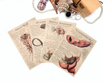 Creatures of the Deep Sea - Ocean Journal page prints Illustrations, Anglerfish, Giant Isopod, Gulper Eel, Vampire Squid