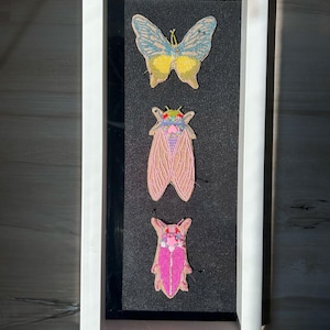 Beaded Framed Wall Art - Pinned Bugs