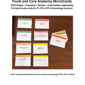 May include: Trunk and Core Anatomy MicroCards featuring printable study cards for PT, PTA, DPT, and kinesiology students. The cards are color-coded with green, orange, and yellow bars, displaying text for origin, insertion, action, and innervation.