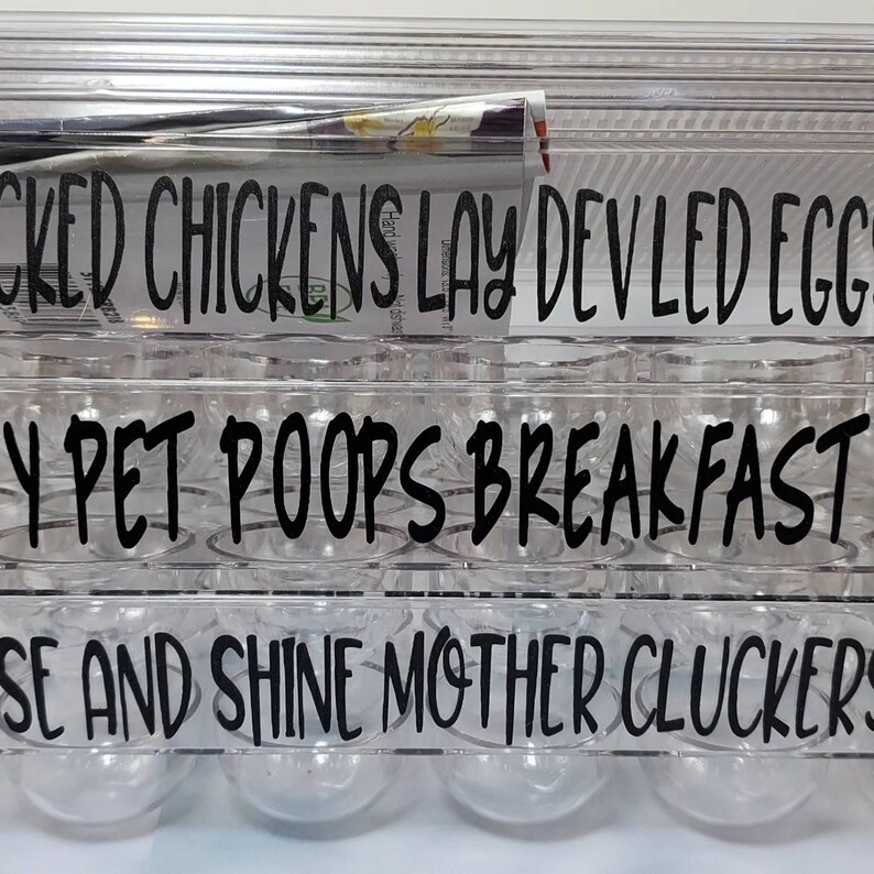 Reusable Egg Carton Egg Carton With Funny Sayings Plastic Etsy