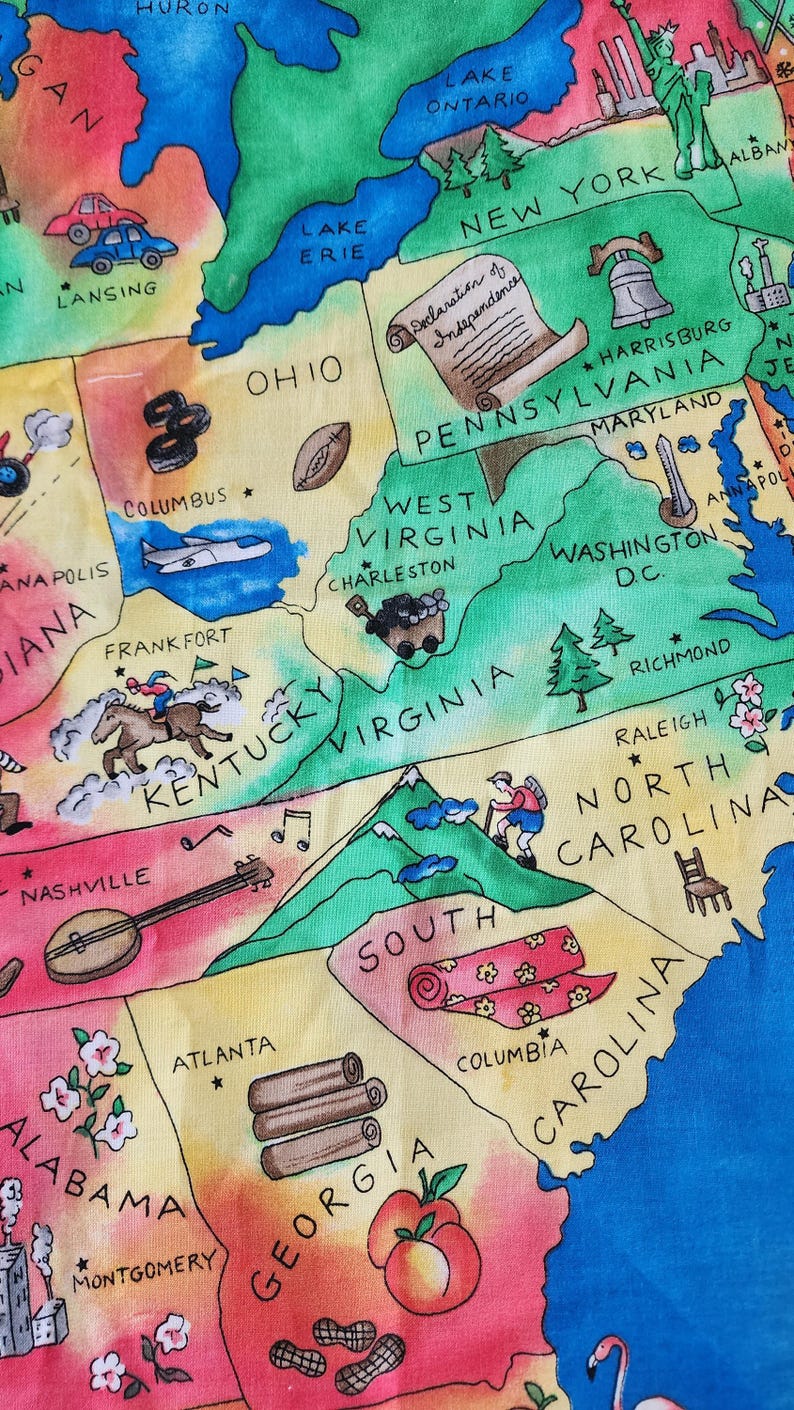 Panel de tela de algodón con mapa educativo y divertido de Estados Unidos, con capitales y símbolos, Fabric Traditions 2001, recurso didáctico para profesores de educación en el hogar. imagen 6